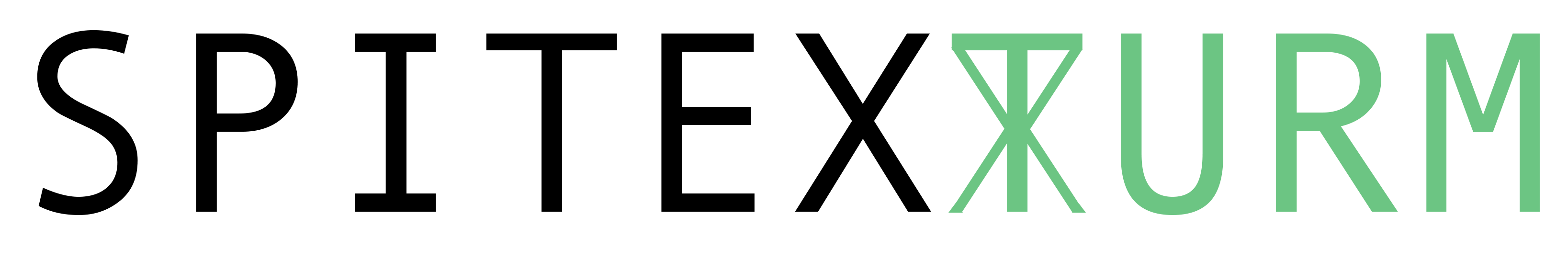 Spitexturm Logo